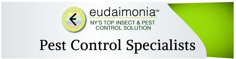 Pest Control Specialists